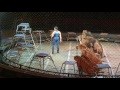 Entire Big Cat Act At Ringling Bros Barnum And Bailey Circus