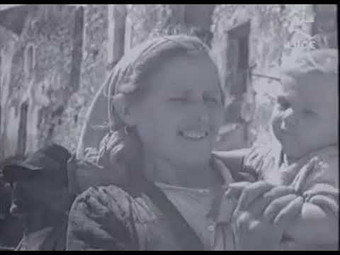 Cinegiornali di guerra 21 27 La perdita della Sicilia e il crollo del Fascismo Mag Ago 1943
