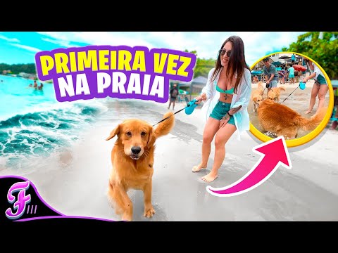 PRIMEIRA VEZ DOS MEUS CACHORROS NA PRAIA! - Fran Japa