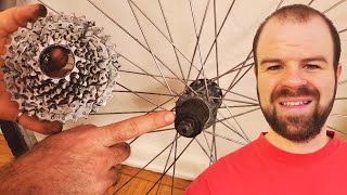 How to Remove the Cassette or Freewheel from Bike Wheels