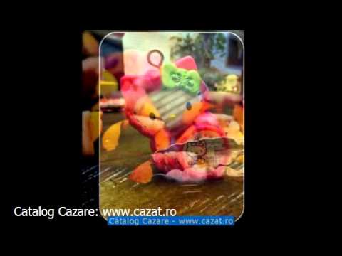 Cazare Visinii, Calarasi - Cazat.ro