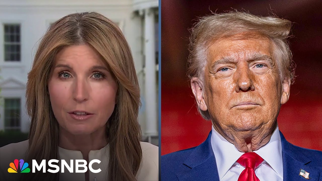 ‘We all watched, we all saw him fail’: Nicolle Wallace on Trump's past handling of a national crisis