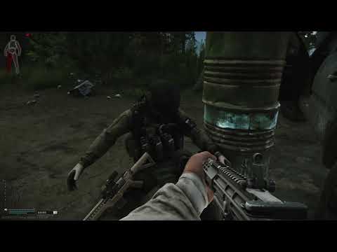 Scav dream
