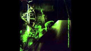 Psyclon Nine - Divine Infekt (Tactical Sekt Remix) [HD]