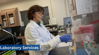 Diagnosis: Laboratory Positive