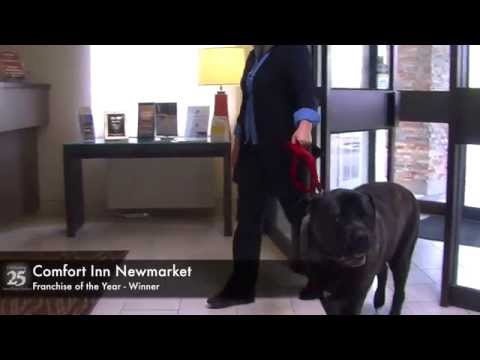 Comfort Inn Newmarket