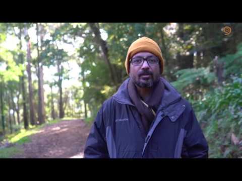 95. How can we know Pure Self and abide in it eternally