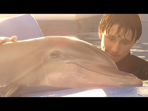 Dolphin Tale 2 (Behind the Scenes 'Look Who's Running the Show')