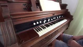(European) Harmonium vs. (American) Reed Organ (M. G. Fischer - Risoluto)