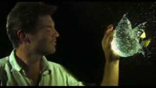 Howling Bells - Nightingale