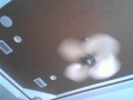 TheBratzShow2 S Webcam Video April 17 2010 11 10 AM