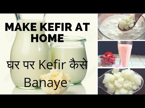 download lagu mp3 mp4 Coconut Kefir India, download lagu Coconut Kefir India gratis, unduh video klip Coconut Kefir India