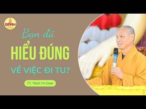 Đi tìm chân tâm - Thầy Trí Chơn giảng