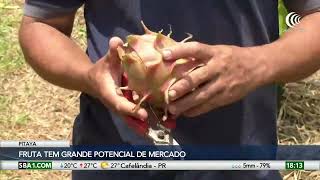 Miniatura do vídeo