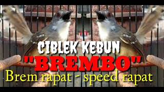 Download lagu CIBLEK BREM RAPAT JOSS   BREMBO mp4 mp3
