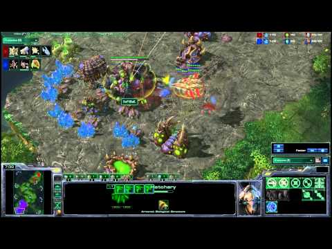 HDWT Third Place: Sen v Socke g3