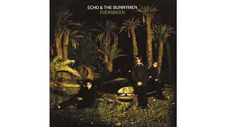 Echo &amp; The Bunnymen - Too Young To Kneel