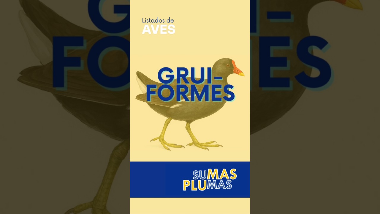Gruiformes