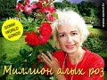 SONNI WORLD SONGS „Миллион Алых Роз“ (Russisch) 