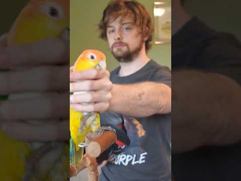 Shrock Confirmed 🤯