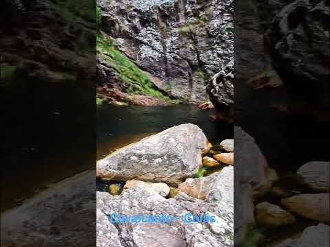 Veredas, Cavalcante (Goiás) - BR