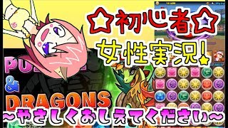久々パズドラ初心者