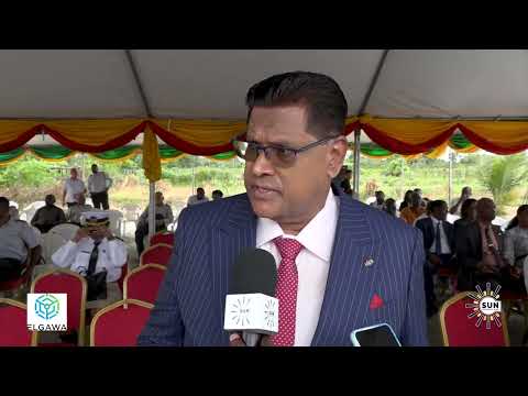 Description or Alt Text