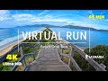 Virtual Run Bruny Island Beach Forest Trail 4K Running Video Virtual Scenery Tasmania