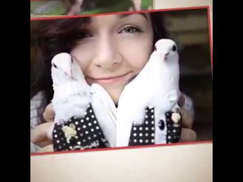 Thank you to all the happy Flyper bird diaper customers of 2019