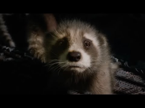 Guardians of the galaxy vol 3 “Creep” Opening scene