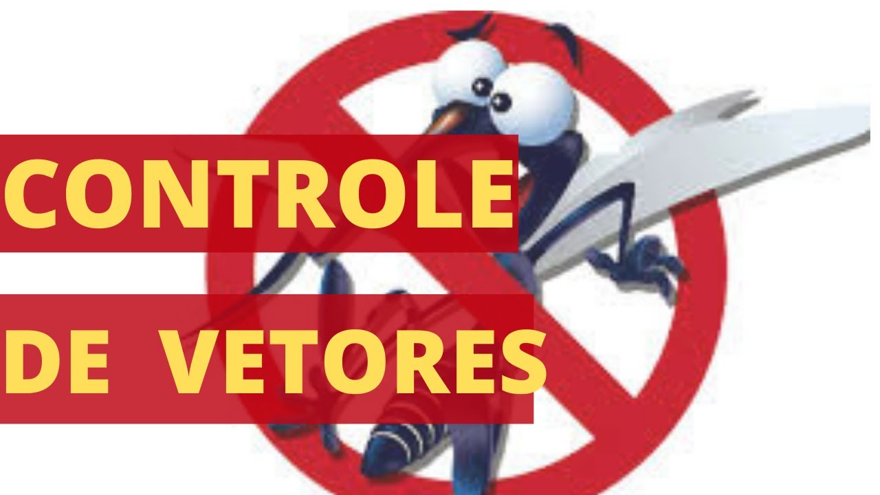 Controle de Vetores- Resumo