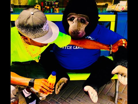 Aeyollae - ( ROCKET LAUNCHER )