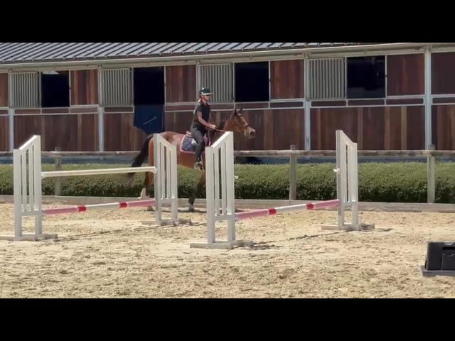 Gaits