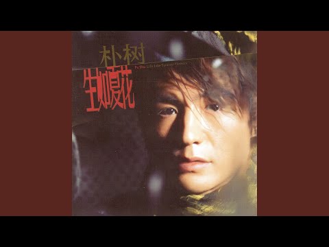 来不及 – Pu Shu 朴树