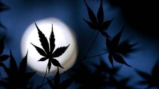 Rod Stewart (Featuring Eric Clapton) ✿ Blue Moon