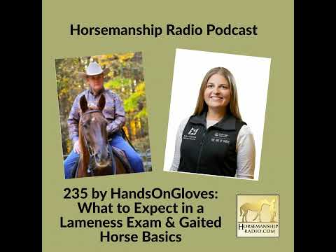 What to Expect in a Lameness Exam