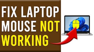 Download the video "How To Fix Laptop Mouse Not Working (Easy Step-By-Step Guide To Troubleshoot The Problem)"