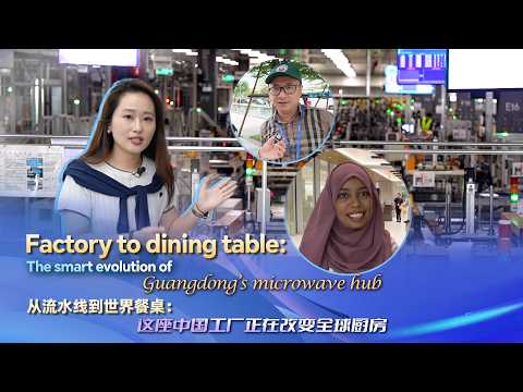 Factory to dining table: Smart evolution of Guangdong’s microwave hub