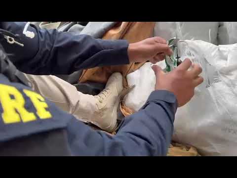 PRF apreende mais de uma tonelada de agrotóxicos em Alto Paraíso, na divisa do PR com MS