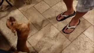 Alex Dancing late at Night...