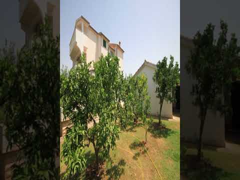 Apartment Nevidjane 8273a - Nevidjane - Croatia