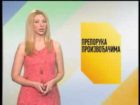 Zelena prognoza 15.8.2013.