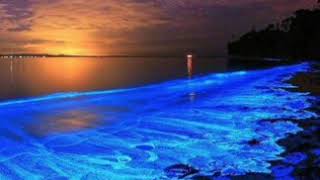 Download lagu A. RAZAK & J. KRMISAH~Dendang Remaja. mp3