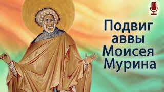Подвиг аввы Моисея Мурина