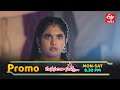 Manasantha Nuvve Latest Promo Episode No 1209 1st December 2025 ETV Telugu