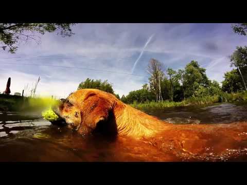 Agroturystyka Kraina Jeleni