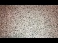 A VHS Tape I M Doing The Normal Opening And Closing 3 27 2022