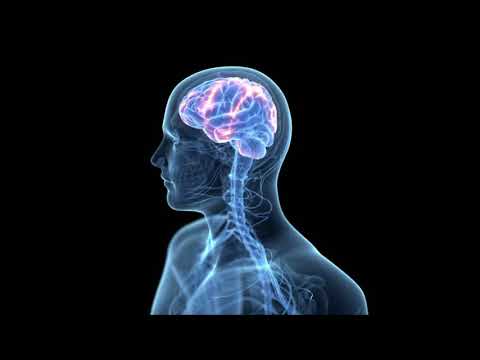 Neil Bin Radhan  -  Der Mensch