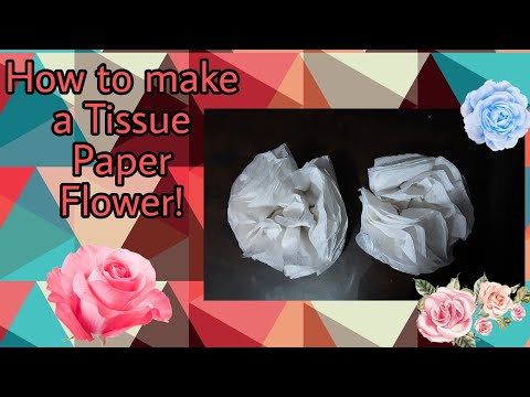 How to make a tissue paper flower!