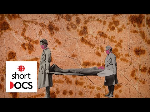 The pandemic from COVID’s point of view. Its mission: to save the planet | King COVID